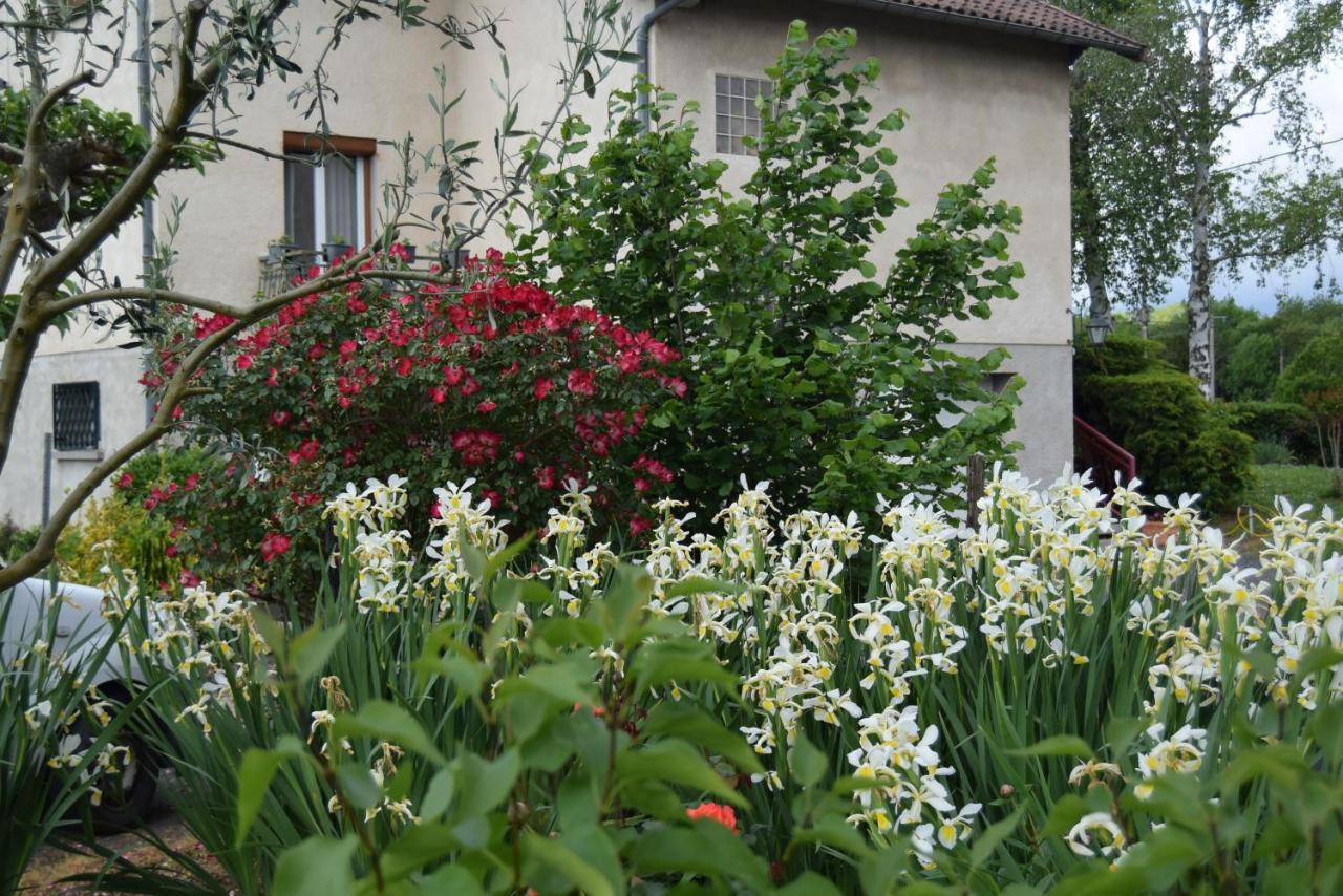 Le Nid De L'Ecureuil Bed & Breakfast Brens  Exterior photo